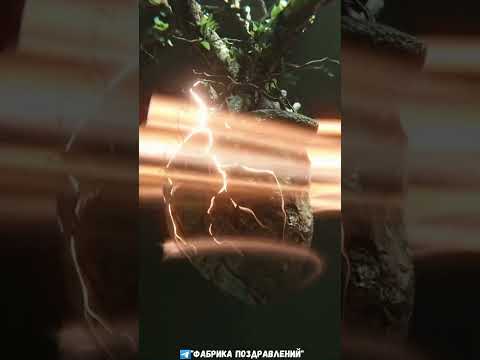 Шаг в будущее! Цитата.