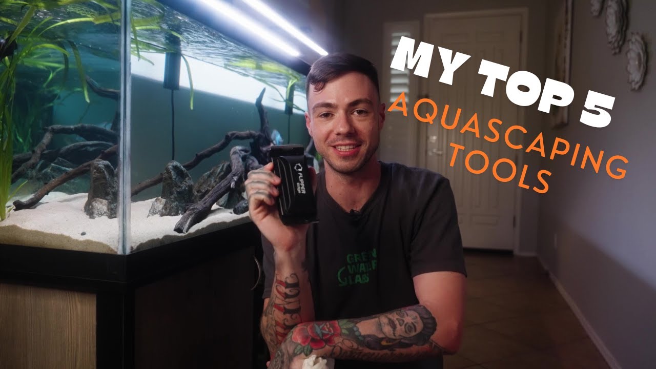 My Top 5 Favorite Aquascaping Tools!