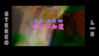   Ni Zhi Bu Zhi Dao   Zhang Xue You  Jacky Cheung  Stereo Lr