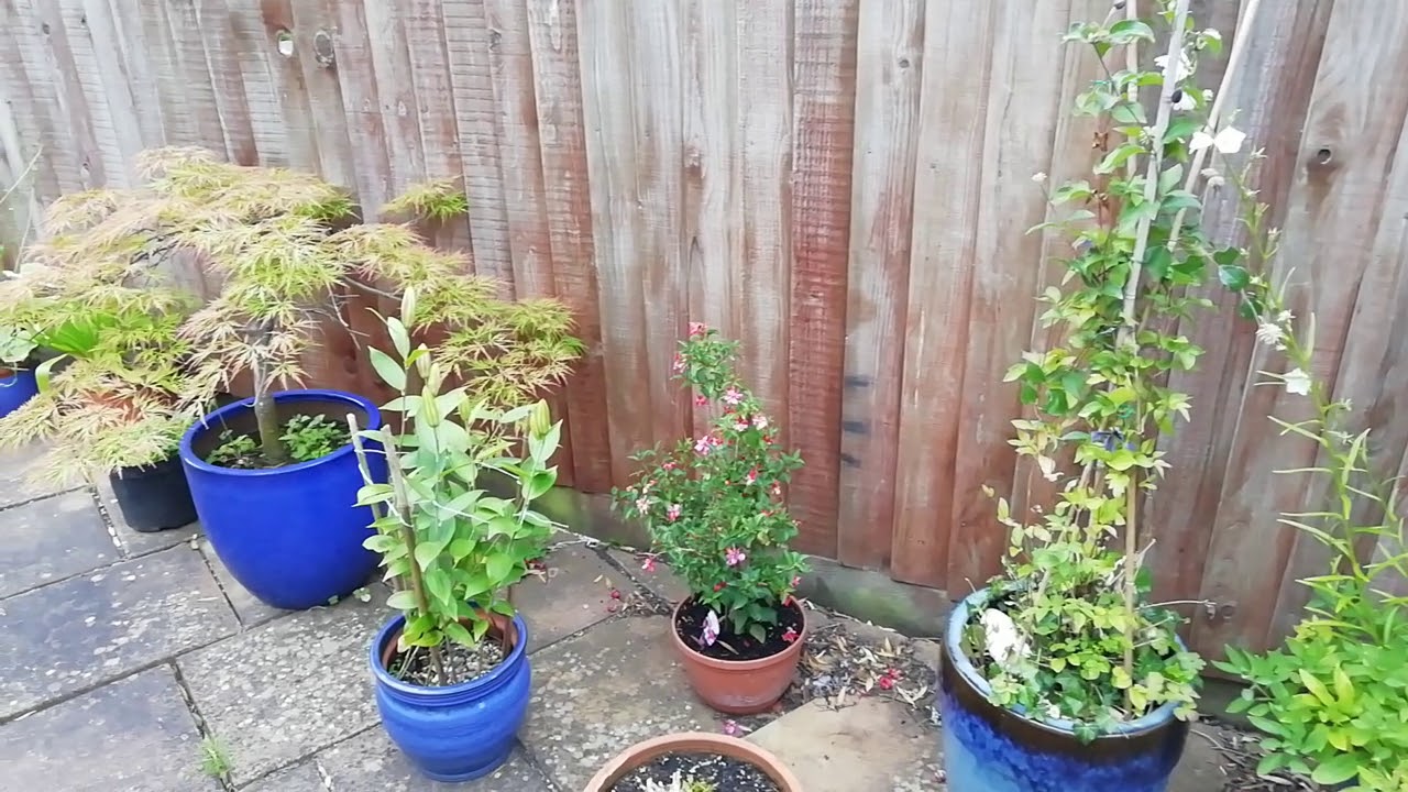 Garden borders - YouTube