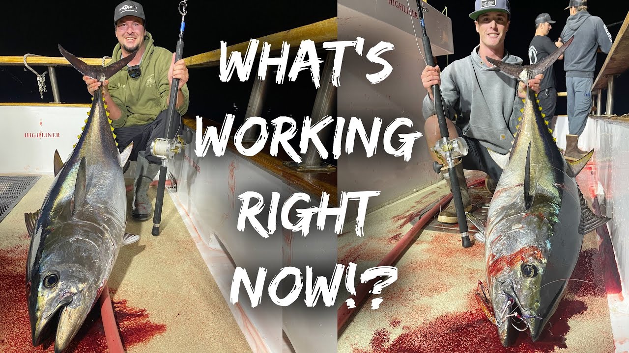 Bluefin 1.5 Day // Tackle Breakdown! 52123 Highliner_Sportfishing YouTube