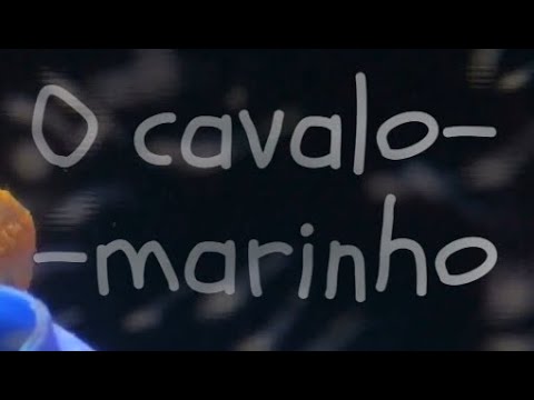 CAVALO-MARINHO: BIOINDICADOR DE QUALIDADE AMBIENTAL