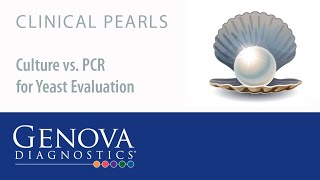 Clinical Pearl 3: Culture, KOH Prep, and PCR to Evaluate Yeast