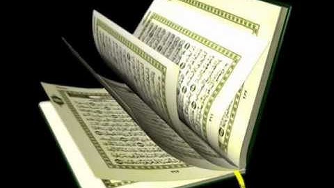 سورة الفجر بصوت فضيلة الشيخ صادق عتريس