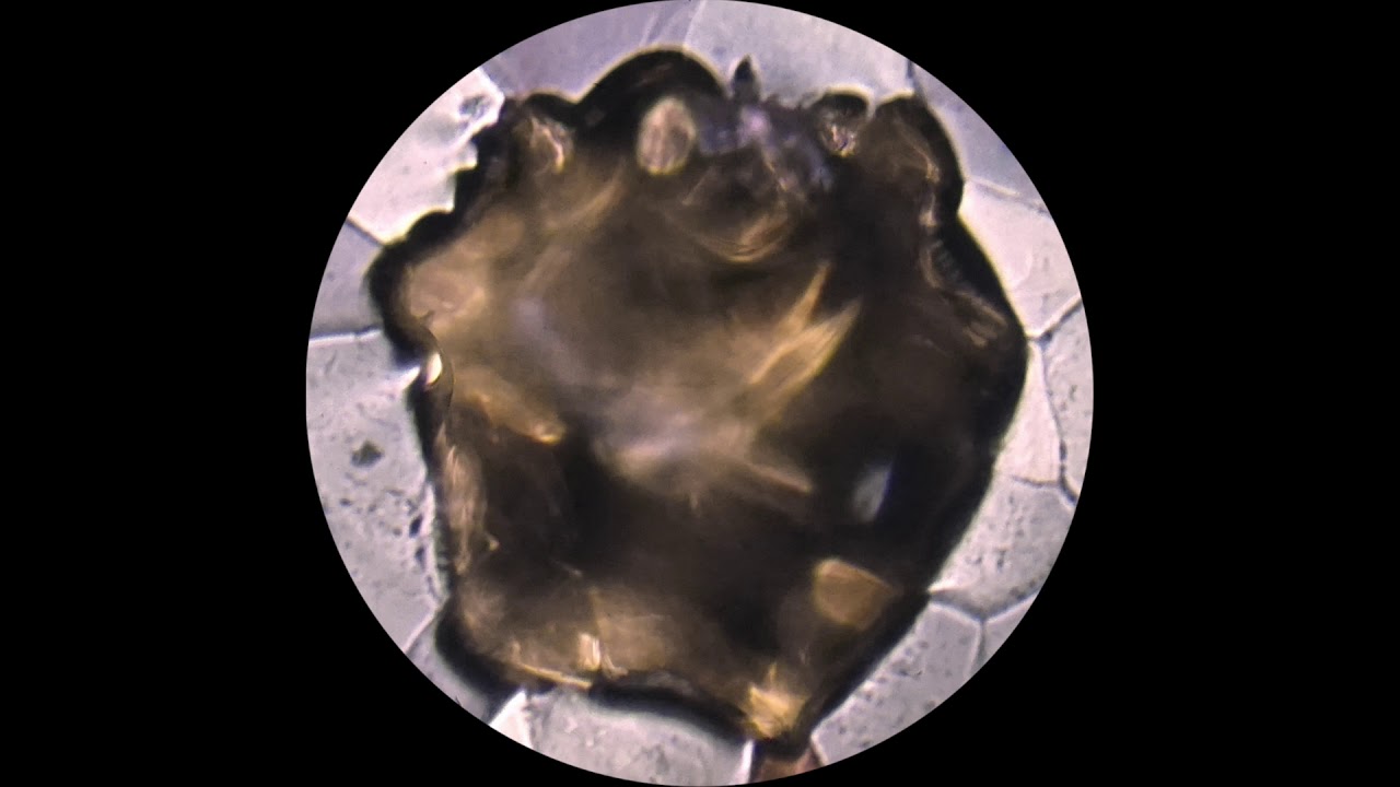 Lancelot - Eade Rd (Omena 2017) adlı videoyu YouTube'da izle Lancelot - Eade Rd (Omena 2017) adlı videoyu YouTube'da izle