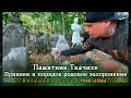 Привели в порядок родовое захоронение | Ваганьковское ✞ Уборщик заброшенных могил ✞