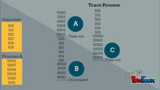 Concurrent process Wealth