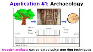 Applications of Dendrochronology