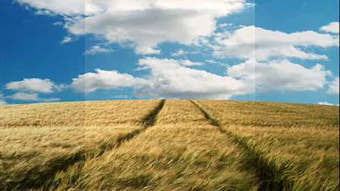 In che anno è uscita la canzone Pensieri e parole?
