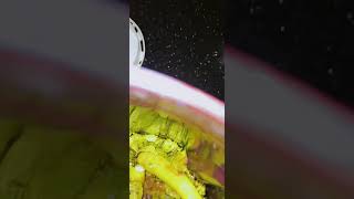 Mint Chtni For Uric Acid Aik Hfty Me Thik By Maryam Vlogs