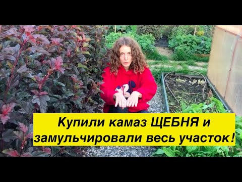 Видео: Ландшафтный дизайн из щебня: использование щебня в качестве мульчи