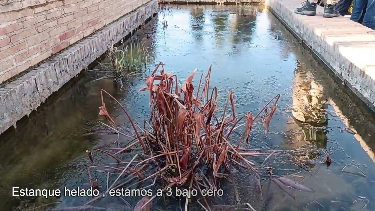 RUTA LAS TRES COLINAS DE GRANADA