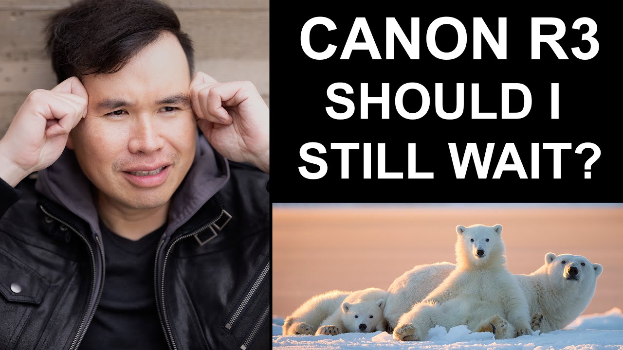 Canon R3: Should I wait? Only 24MP? Eye control eye focus? Vs R5 and Sony A1