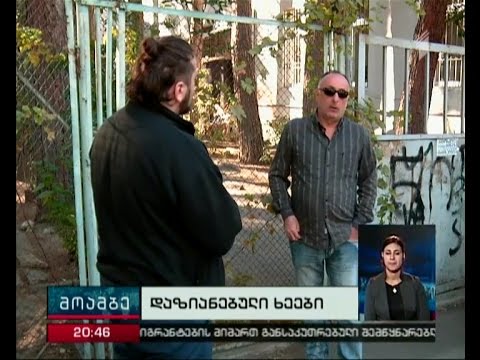 ფალიაშვილის ქუჩაზე მდებარე პოლიკლინიკა \"პარტიზანული მებაღეობის\" ყურადღების ცენტრშია