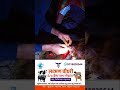 Teat surgery in goat | Teat suturing of Goat | bakri ke than ki suturing/silai #shorts #tretment
