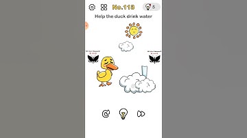 #113 - Brain out level 113 - Help the duck drink water