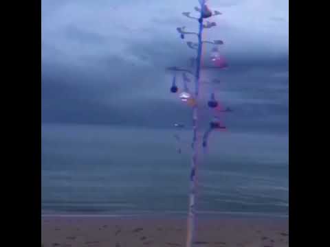 Sen Gelmeden Önce Aşk Değirmeninde Şarkılar Var 2021 Official Videos