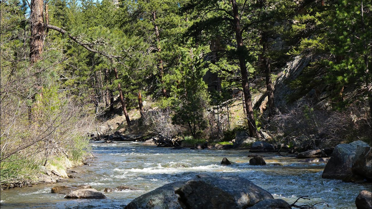 Fly Fishing Out West YouTube