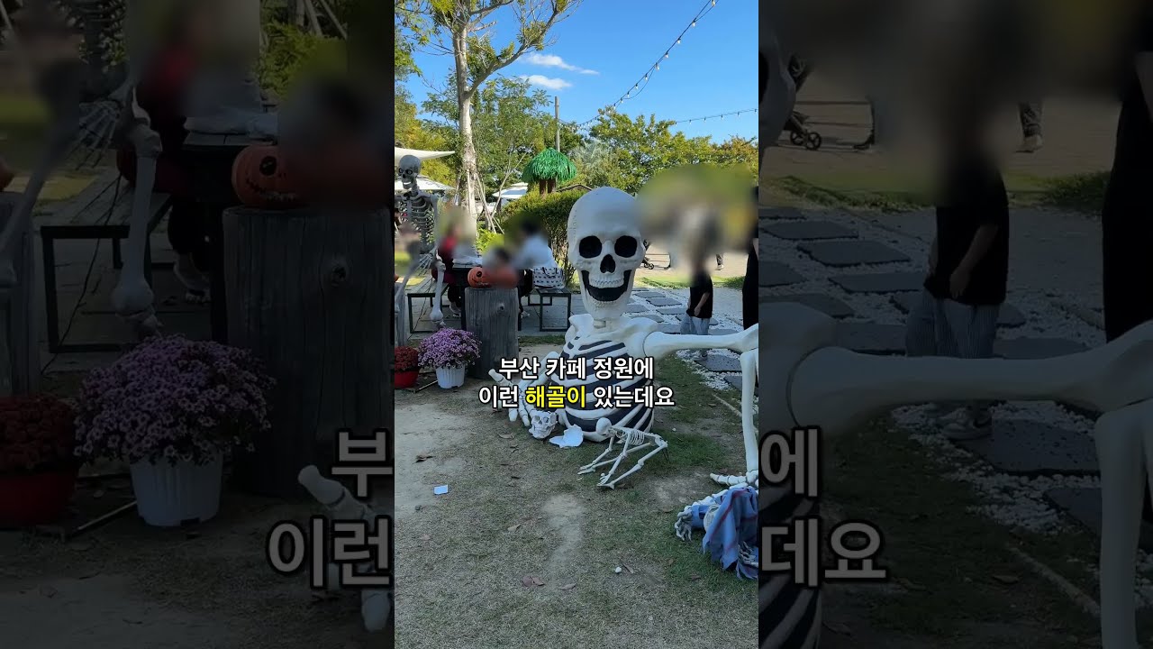 부산 대형카페 비아조 후기, 할로윈 장식 낙동강 정원 가기 전 4가지