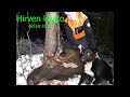 Hirvenmetsästys ja -kaato 2 l Moose Hunting in Finland l 29.12.2020 l TREVK FILMS l