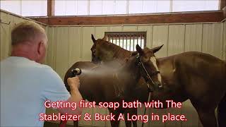 The Buck A Long &amp; Stableizer for 1st Bath