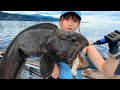 【衝撃】海の怪物を釣り上げてしまった…正体がヤバい。