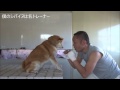 ユーチューブで捜索願い