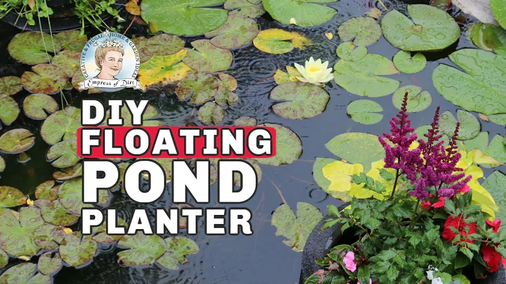 Make a Floating Pond Planter