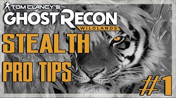 Best Load Out??!! - Stealth Pro Tips #1 - Ghost Recon Wildlands