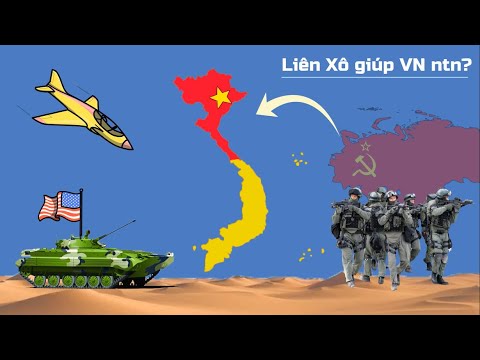 Liên Xô Giúp Việt Nam - Có bao nhiêu Quân Liên Xô giúp Việt Nam đánh Mỹ?
