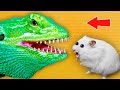 LIZARD - Hamster Maze with Traps ☠️ [OBSTACLE COURSE]