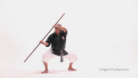 Fukyu no Kata - Kihon Training (DVD Sample)