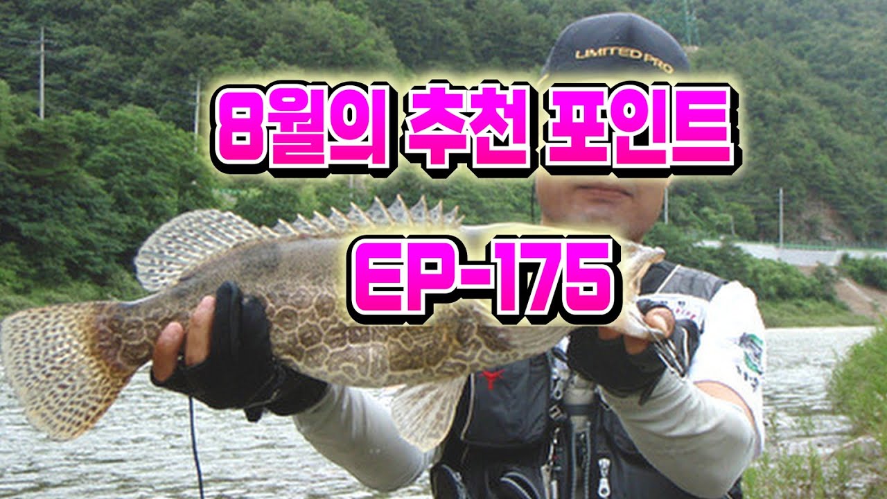 여름 쏘가리 포인트를 찾아서  EP-175