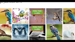 Sử dụng Movie Maker Online để tạo video clips từ file âm thanh và hình ảnh có sẵn screenshot 4