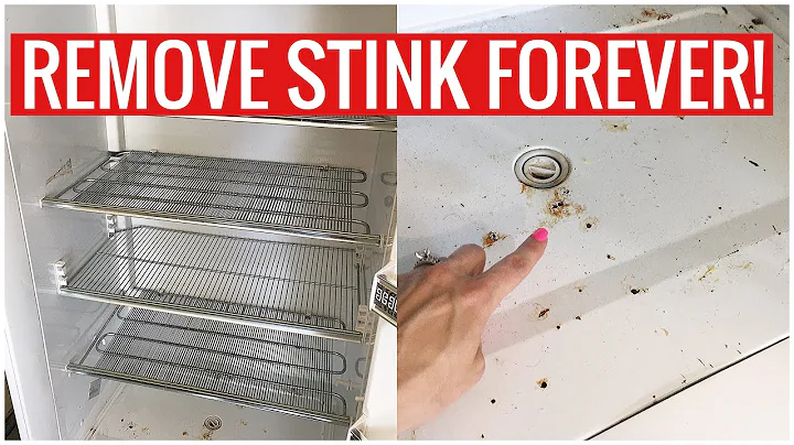 Stinky Fridge or Freezer? How to REMOVE the SMELL for GOOD!! (Cleaning Hacks) | Andrea Jean Cleaning