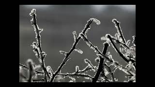ACIM Lesson 32 - I have invented the world I see.