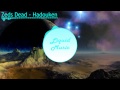 Zeds Dead Hadouken mp3