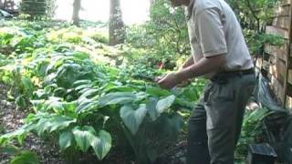 Trowel Testimony