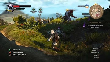 The Witcher 3  Wild Hunt Cyclops Battle Walkthrough