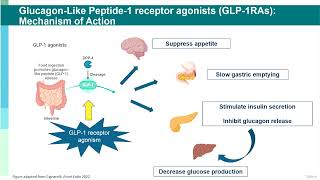 can you take glp 1 and nad+ together Amazon.com: GLP-1 Boost & NAD+ Vitality Complex Wellness Duo – Appetite  Control, Metabolism & Cellular Energy Support – Eriomin, Berberine,  Capsaicin, NR, Alpha-GPC & Methylated B Vitamins – 150 Total Capsules :