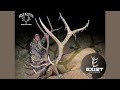 Arizona Elk Hunting | Big Arizona bull with Mogollon Rim Outfitters