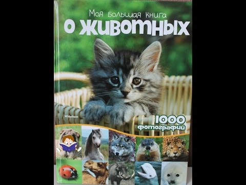"Моя большая книга о животных. 1000 фотографий" - Махаон