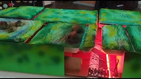 Plate Tectonics Project