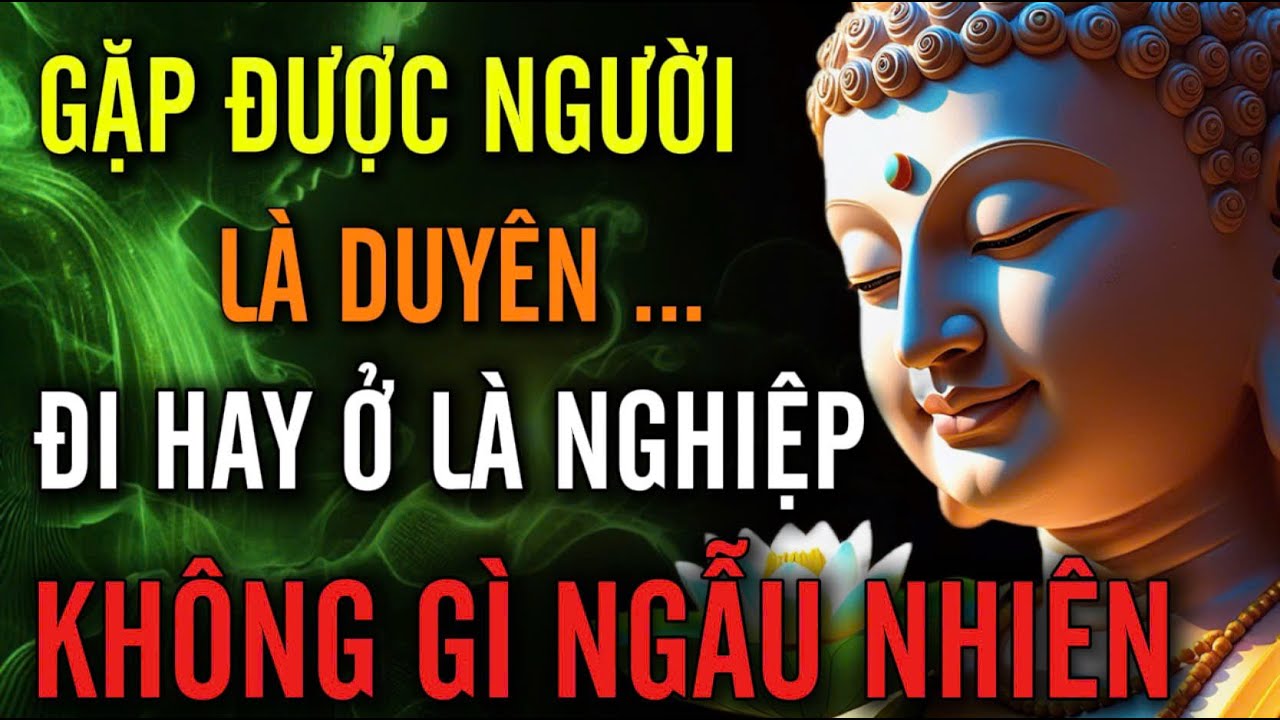 Gặp Được Người Là Duyên, Đi Hay Ở Là Nghiệp - Không Gì Là Ngẫu Nhiên | MỘT ĐỜI AN NHIÊN