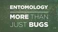 The Fascinating World of Entomology ile ilgili video