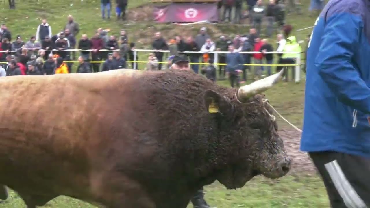 - MEDONJA SVEMIRAC ZADRŽAO TITULU ŠAMPIONA, LJUDI IZ TABORA DALI IZJAVE