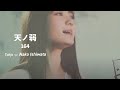 【歌ってみた】天ノ弱- 164/Tokjo feat. 石綿なこ【カバー】