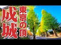 【大豪邸街】ライバルは田園調布⁉︎日本一の水準、街並み。世田谷の誇る高級住宅街、成城をご紹介。