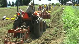 Community Supported Agriculture in Portland, Oregon