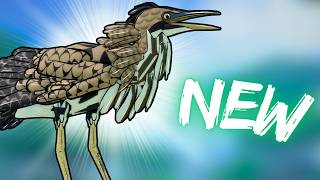 The NEW Heron on Feather Family!
